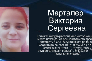 Во Владимире приставы объявили в розыск 27-летнюю мать двоих детей