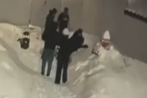 Бастрыкин взял на контроль историю с дракой подростков и взрослых во Владимире