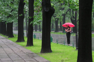 Ливни вернутся во Владимирскую область на новой неделе