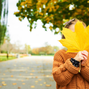 Во Владимирской области тепло задержится на выходные