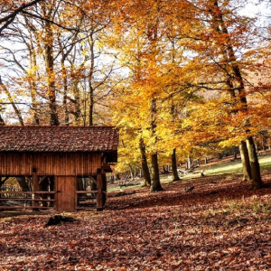 Воздух с Атлантики принесет во Владимирскую область потепление до +18