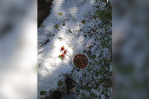 Во Владимире и за городом выпал град