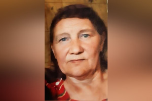 Жителей Владимирской области позвали на поиск заблудившейся в лесу пенсионерки с собакой 