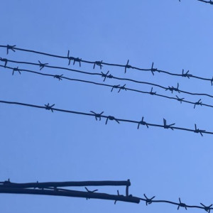 Еще одна сообщница бывшего депутата-миллионера из Мурома получила тюремный срок