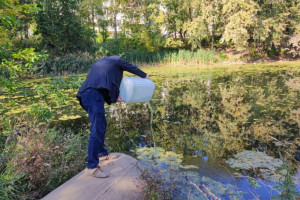 Во Владимире пруд в Добром залили суспензией хлореллы