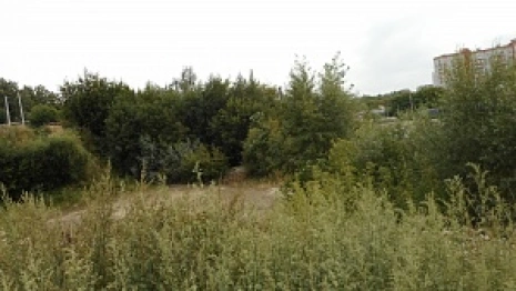 Во Владимире выставили на продажу не достроенный с 2008 года торговый центр