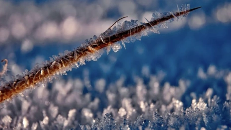 Арктическое вторжение принесет во Владимирскую область заморозки