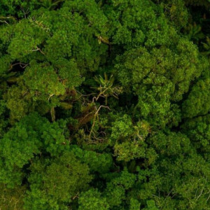 Во Владимирской области «Мещера» попала под суд