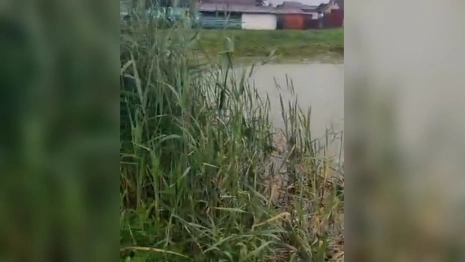 Появилось видео с места гибели 9-летнего мальчика в Юрьев-Польском