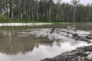 В Селивановском районе занялись расчисткой реки Колпь