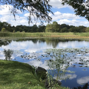 Во Владимире начали поиски нового подрядчика для благоустройства садов у ДТЮ