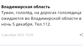 МЧС предупредило жителей Владимирской области о гололедице ночью 5 декабря