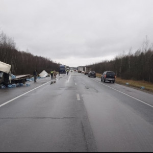 За неделю в авариях на дорогах Владимирской области пострадали трое детей