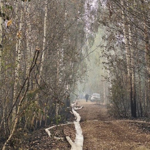 Площадь лесного пожара в Камешковском районе сократилась до 2 га