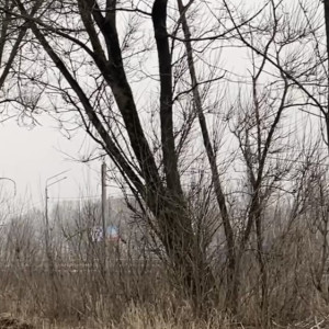 Вдоль трассы М-7 во Владимире вырубят часть деревьев