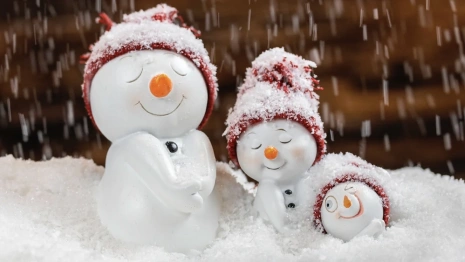 Прогноз погоды во Владимирской области на 24 декабря