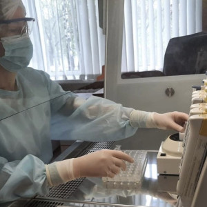 Во Владимирской области клещи укусили 16 взрослых и 9 детей