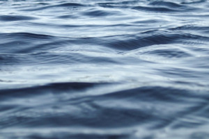 Во Владимирской области за купальный сезон утонули 25 человек