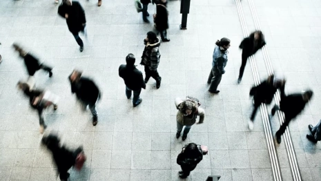 Пропавшего месяц назад жителя Владимира нашли живым