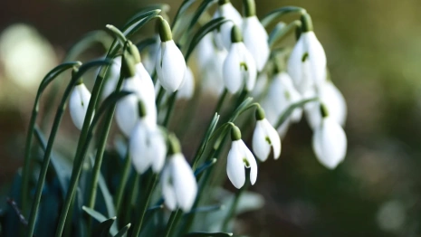 Прогноз погоды во Владимирской области на 17 марта