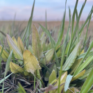 Прогноз погоды во Владимирской области на 20 апреля