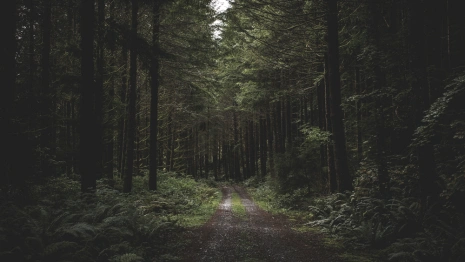 Пропавшую 71-летнюю пенсионерку нашли мертвой