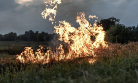 Во Владимирской области с начала года сухая трава загорелась 9 раз