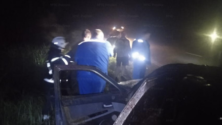 В Гусь-Хрустальном ночью легковушка сбила лося