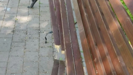 Во Владимире стали чаще портить лавочки в парках