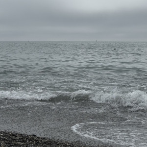 Как экологическая катастрофа на Черном море повлияла на туристический сезон