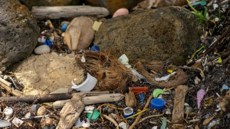 Во Владимирской области хозяина заваленной мусором земли оштрафовали на 23,5 млн рублей