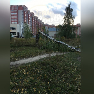 Последствия разрушительного урагана во Владимирской области показали на фото и видео