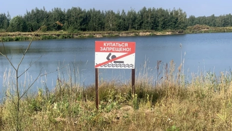 В деревне под Александровом утонул мужчина