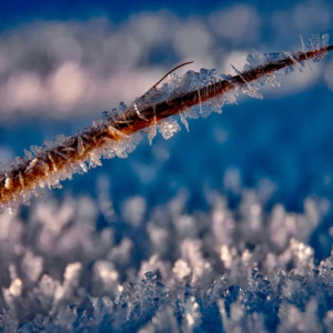 Во Владимире ударят морозы до -18