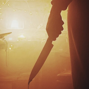 Жителя Владимирской области отправили в колонию на 9 лет за убийство подруги