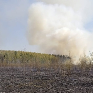 В Камешковском районе вечером загорелась сухая трава