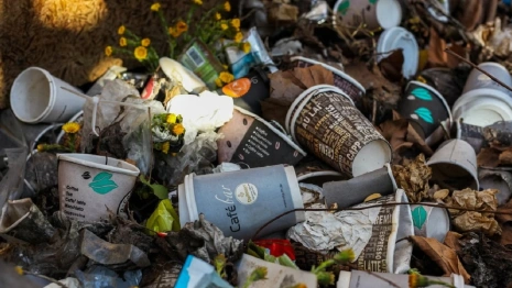 
Во Владимирской области на сельских мусорных площадках нашли нарушения