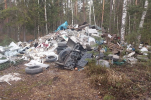 В лесу близ Южного обхода Владимира нашли стихийную свалку