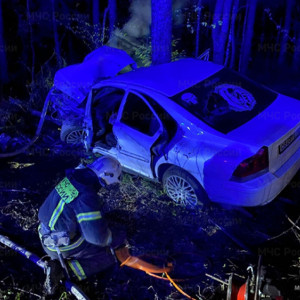 В ДТП во Владимирской области пострадала молодая пара