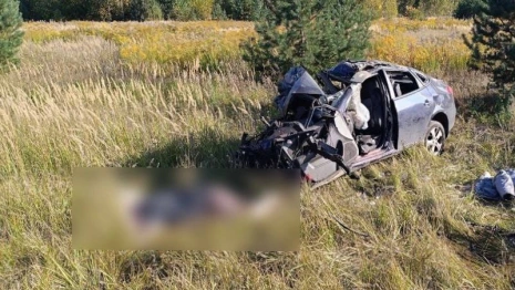 Два человека погибли в ДТП с автобусом на трассе Владимир – Радужный