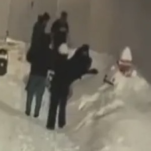 Бастрыкин взял на контроль историю с дракой подростков и взрослых во Владимире