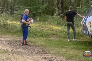 В выходные в лесах Владимирской области заблудились 4 человека