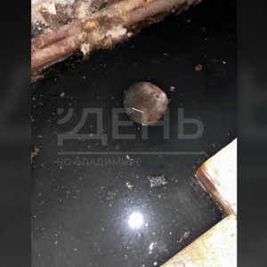 Подвалы многоквартирных домов во Владимире затопило нечистотами