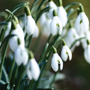 Прогноз погоды во Владимирской области на 17 марта