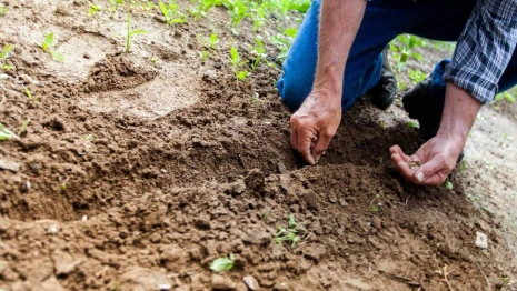 Во Владимирской области компанию оштрафовали на 40 тысяч за загрязнение почвы