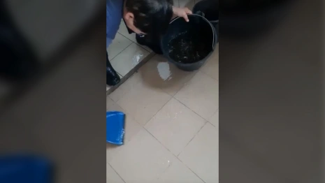 Во Владимирской области затопило муниципальный приют