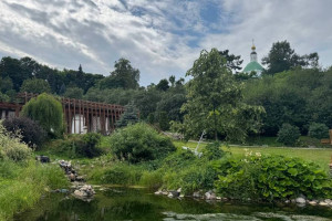 Выходные во Владимирской области окажутся прохладными и дождливыми