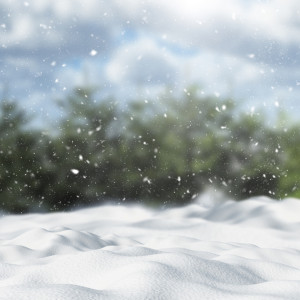 Первое воскресенье зимы во Владимире будет морозным и снежным