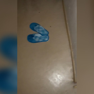 Владимирцы пожаловались на тараканов в ОДКБ