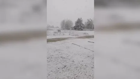 Юг Владимирской области завалило снегом